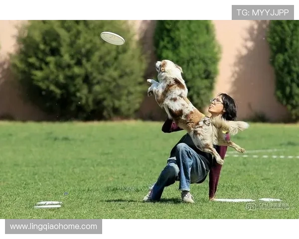 重庆飞盘队在极限运动世界杯中的精彩节奏与表现分析